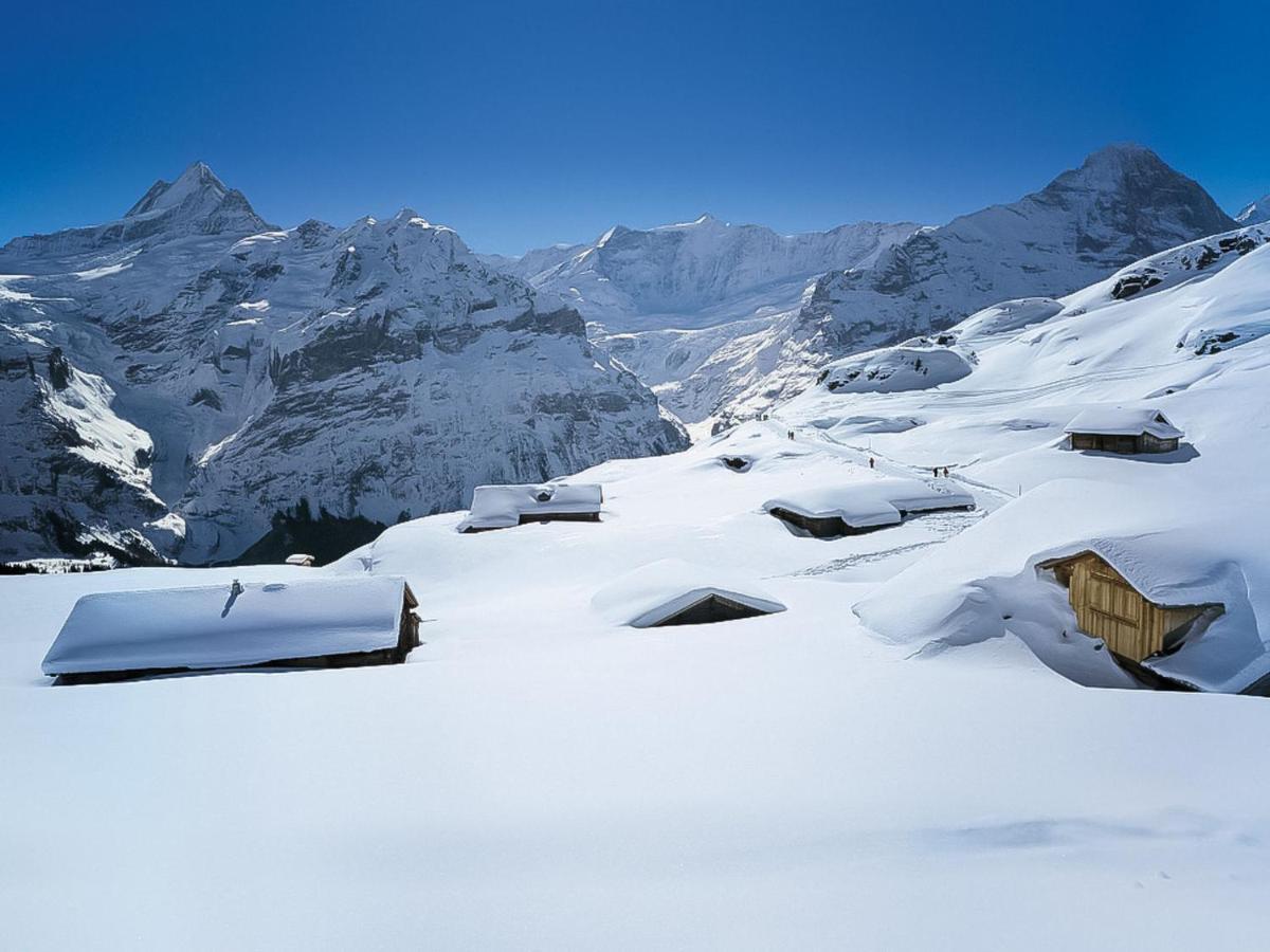 Am Reeti By Interhome Appartamento Grindelwald